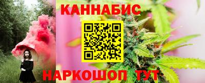 крисы Новозыбков